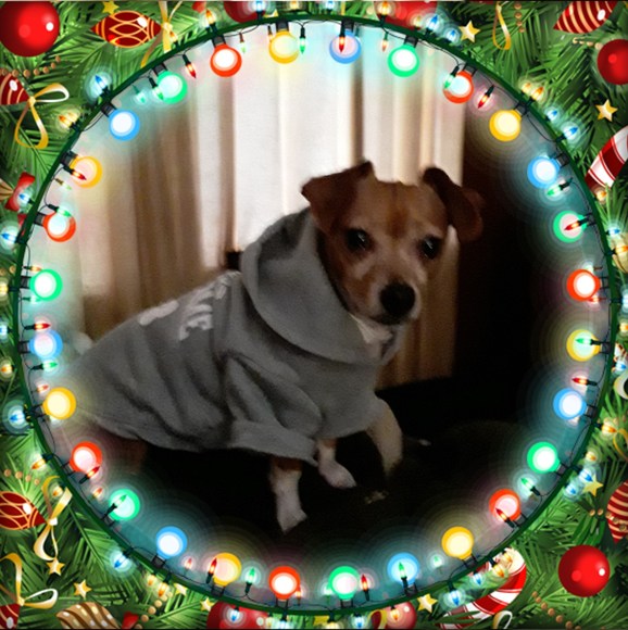 Meet your Posher, Gina - Picture 1 of 1